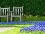 Jardins Albert Khan Quiétude