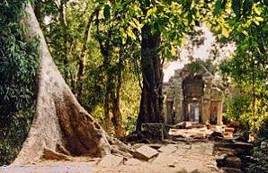 templs-de-ta-phrom--entree-du-temple-a-angkor-wat.jpg