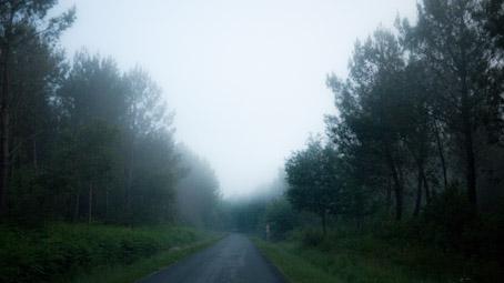 No words, stills only