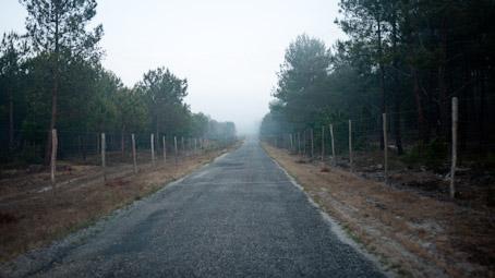 No words, stills only