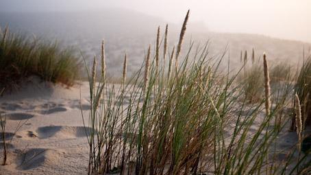 No words, stills only