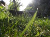 n’est difficile (Guillevic)