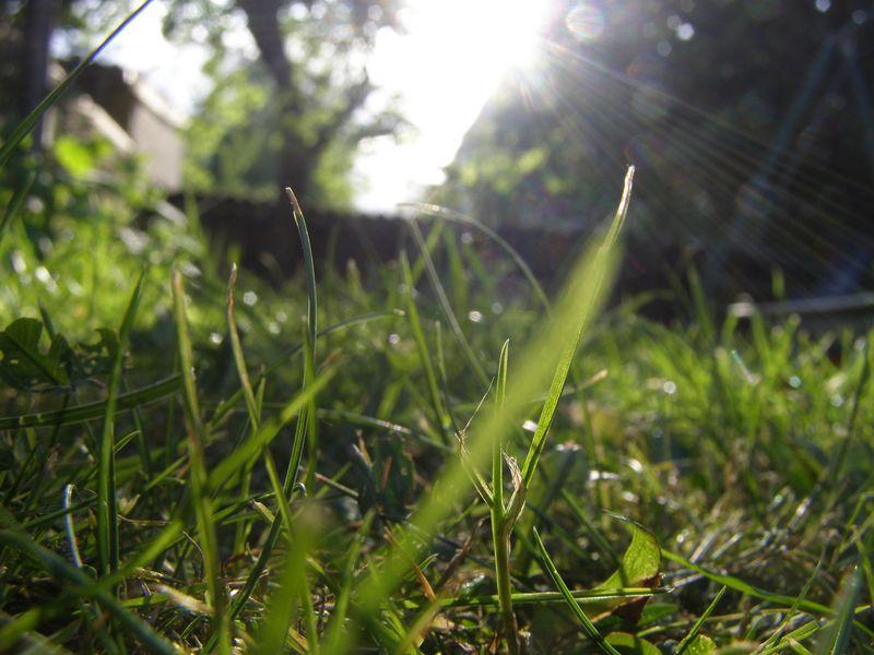 Ce n’est pas difficile (Guillevic)