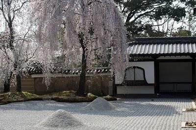 Fond écran de cerisier en fleur et du Japon