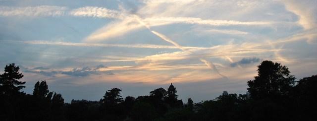 Image Hosted by ImageShack.us