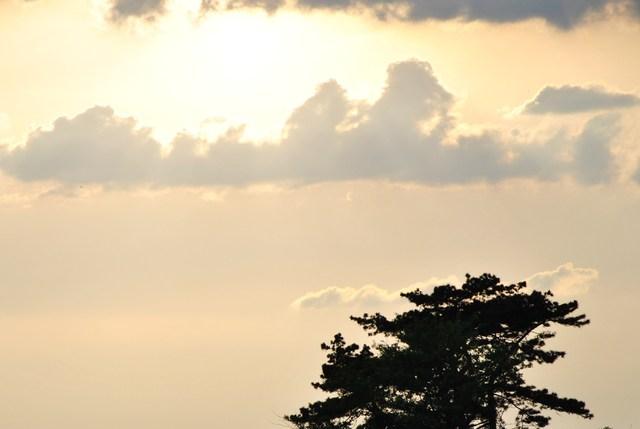 Image Hosted by ImageShack.us