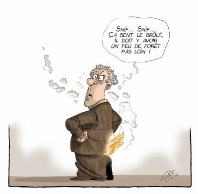 Caricatures : semaine du 31 mai au 6 juin 2010