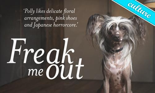 Sydney Film Festival 2010