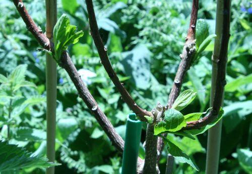 edgew romi 4 juin 028.jpg