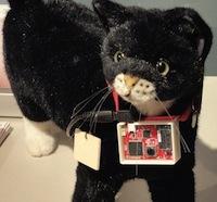 Insolite : Imprimante Lego, Hoverboard et collier Twitter pour les chats…