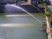 Joyeux anniversaire Danièle