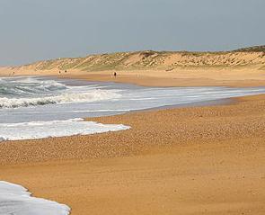 L'australie en Vendée, c'est possible ! L'australie en Vendée, c'est possible !