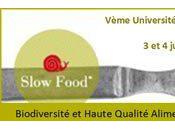 Université d'été Slow Food France