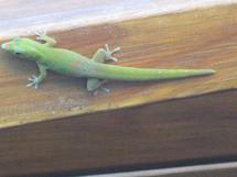 2012, la fin du monde