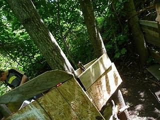 Une excursion dans le bois digne d'un conte de fées!