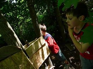 Une excursion dans le bois digne d'un conte de fées!