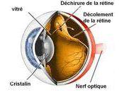 rétine Centre vision