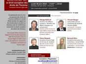 droit recours procédure devant Cour européenne droits l’homme” juin 2010, 2ème conférence, cycle 2010-2011, Palais-Royal)