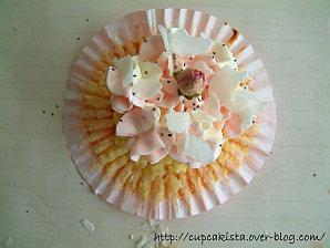 Cupcake Coco Rose-4