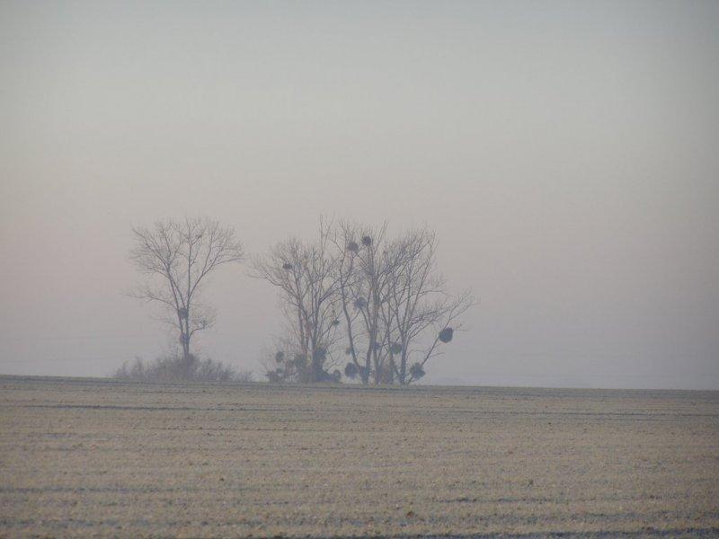 Ce matin…  (Béatrice Douvre)