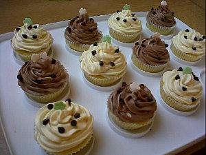 cupcakes_SGM_2.jpg