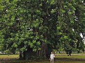 Quelques photos Colombo