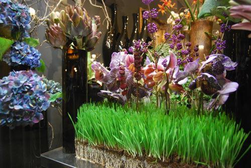 fleuriste-bourgeon-paris