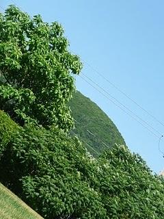 Dix choses que j'aime en ce moment