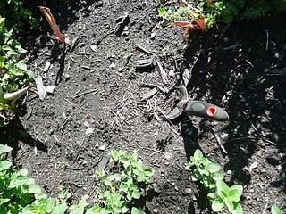 Dix choses que j'aime en ce moment