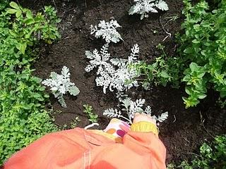 Dix choses que j'aime en ce moment