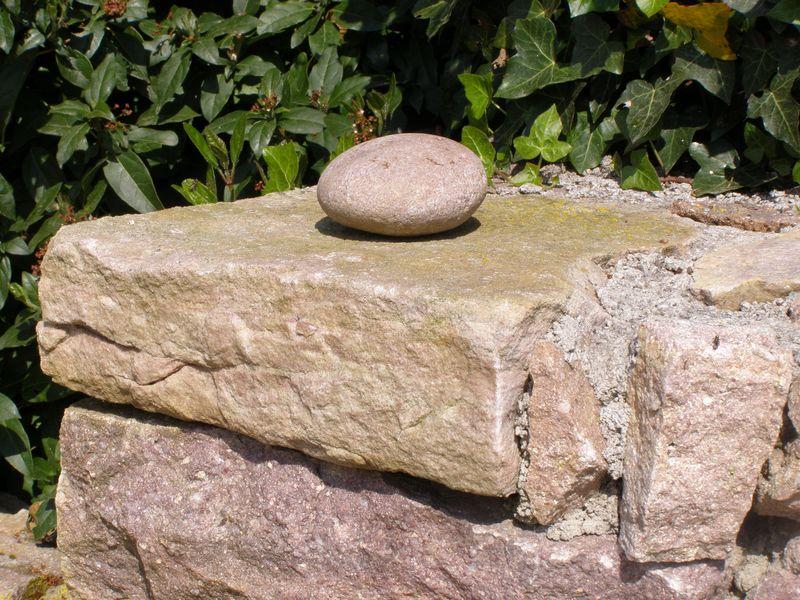 La nécessité du départ (Michel Dugué)