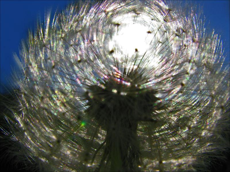 Un dur labeur le souffle (Georges-Emmanuel Clancier)