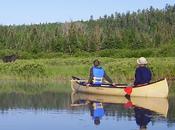 découverte orignaux