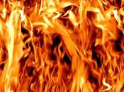 Seul (Malcom Chazal)