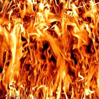 Seul le feu (Malcom de Chazal)