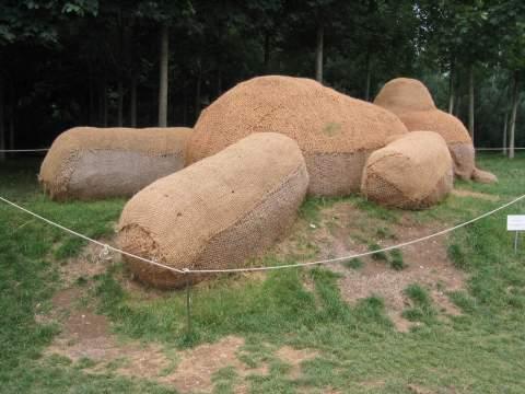 Le soir brûle ses orties (Serge Brindeau)