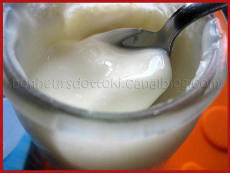 Alsa ferments lactiques spécial yaourtière - mon yaourt maison