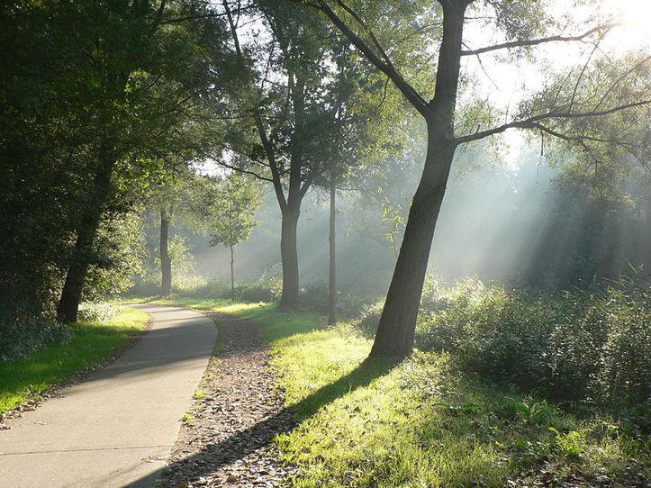 L'IMAGE DU JOUR: Piste cyclable en Belgique