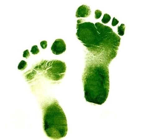 green footsteps ii Carbon Hub signe avec trois nouveaux clients afin de les aider à mettre en place une politique de développement durable 
