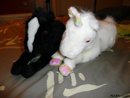 Cherche lit 4 places et chambre de 50m²