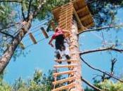 Sautez d’arbre arbre