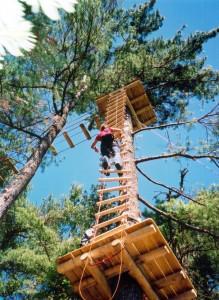 Arbre en Arbre Arbre en Arbre