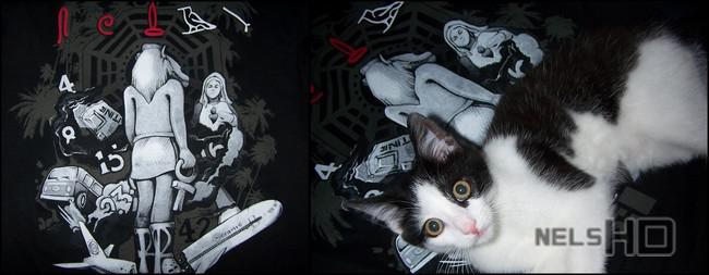 {Réception TeeFury ::