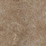 woven_carpet_monotone.jpg