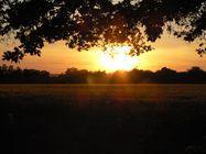 Coucher de soleil sur la région albigeoise (Tarn)