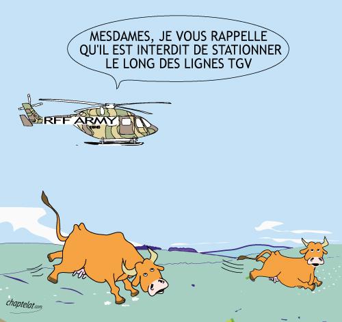vache et TGV