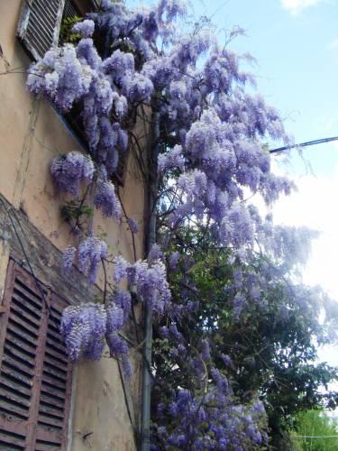 Impasse Mousset 2010-04-25 02.jpg