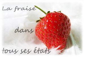 concours_fraise