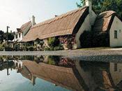 Arrêté pour torture brocoli
