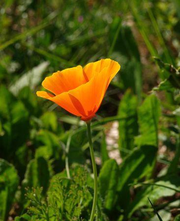 Newsletter : pour ceux qui ne l'ont pas reçu, session de rattrapage 004__2_